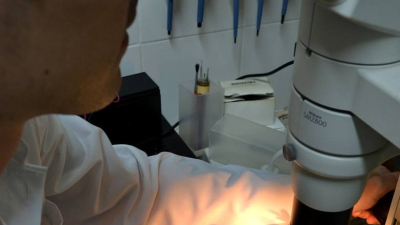 Tres científicos en agrobiotecnología son premiados por la Fundación Bunge y Born