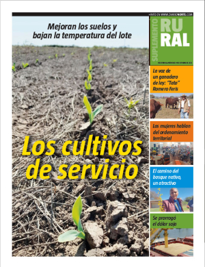 Los cultivos de servicio
