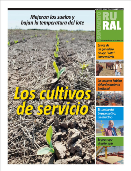Los cultivos de servicio