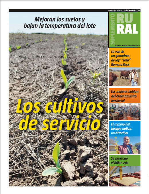 Los cultivos de servicio