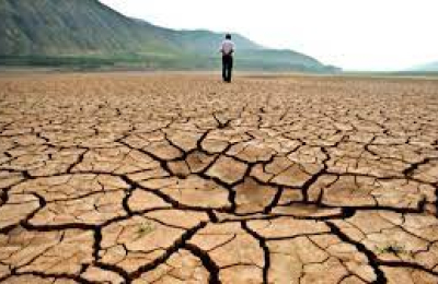 Negación del cambio climático