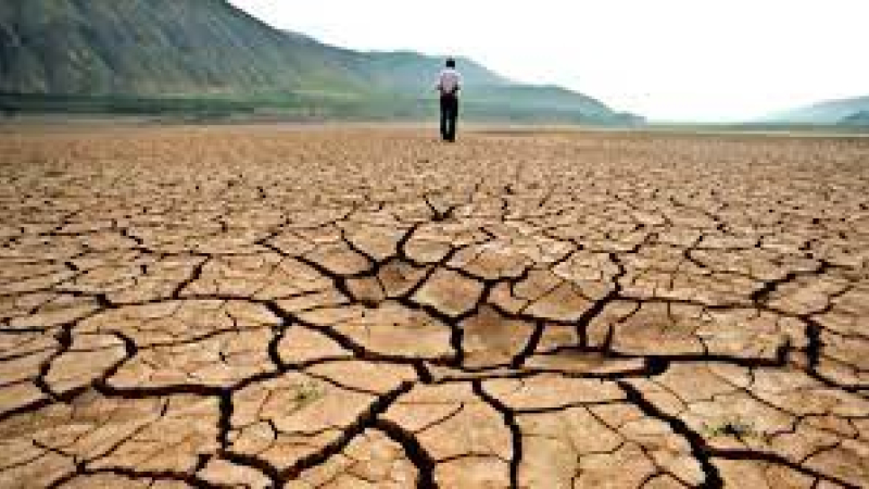Negación del cambio climático