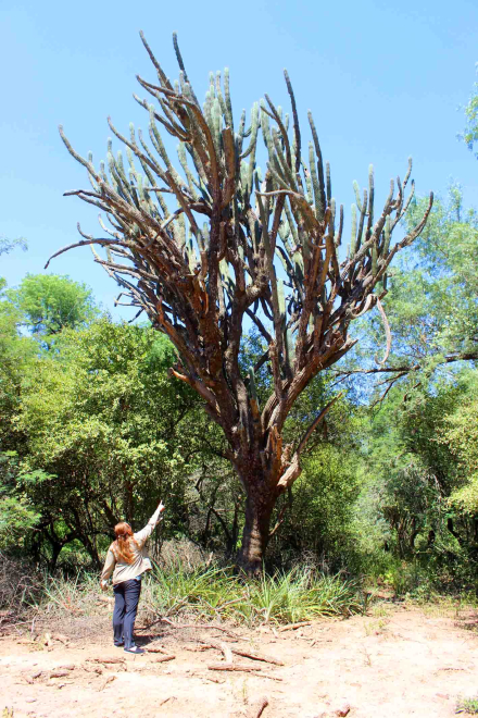 parque nacional9.jpg