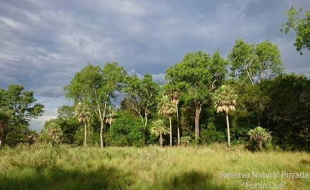 07-Parques Privados Fortin Cue2.jpg