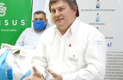 La campaña de algodón se largó pero hace falta más humedad