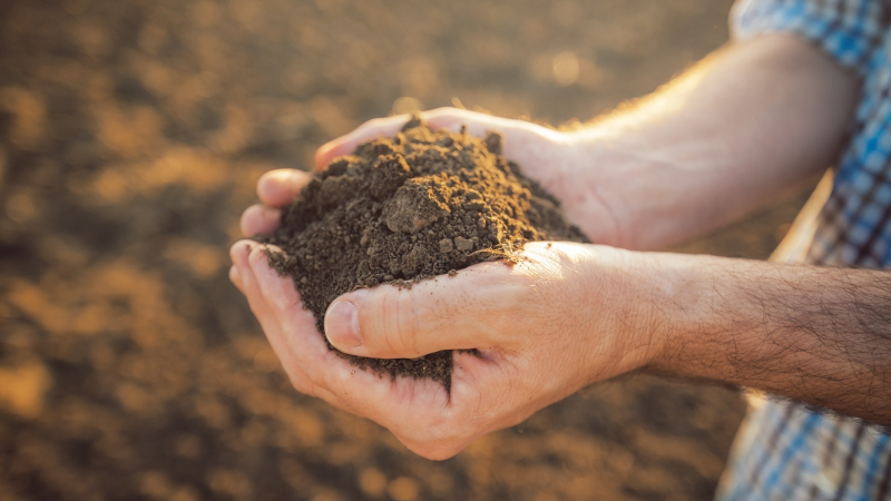 Hacia la agricultura regenerativa: cambio de estrategias asociativas y de manejo
