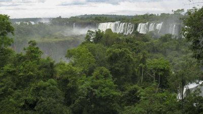 Aprobaron un crédito de 15 millones de dólares para la conservación de la selva misionera