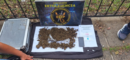 narcos1.jfif