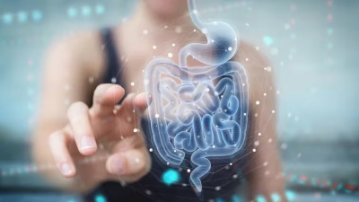 "Sanando la microbiota intestinal se pueden curar más de 90 enfermedades"