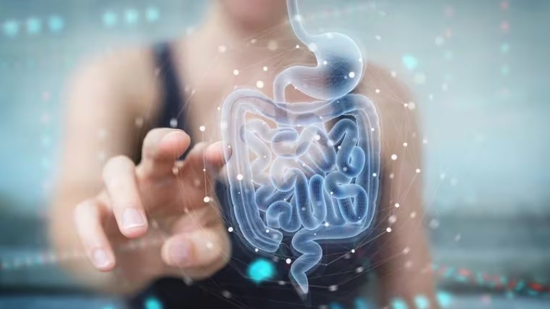 "Sanando la microbiota intestinal se pueden curar más de 90 enfermedades"