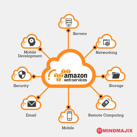 amazon - copia.jpg