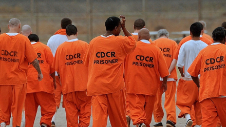 prisoners in US prisons.jpg