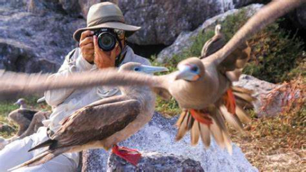 aves.jpg