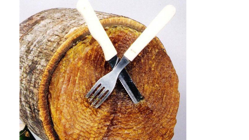 Milanesas de madera: un cocinero probó la sustancia