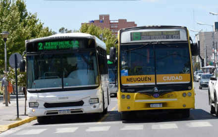 colectivos-neuquen.jpg
