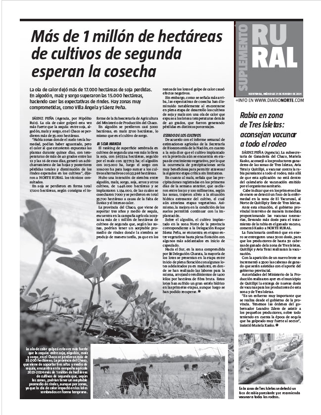 Más de 1 millón de hectáreas de cultivos de segunda esperan la cosecha