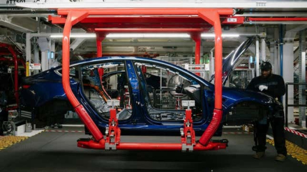 tesla fremont black workers.jpg