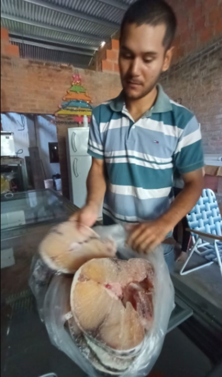 pescado.jpg