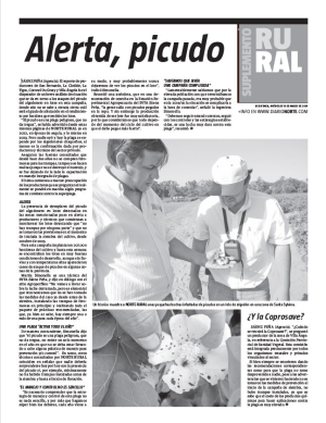 Alerta, picudo