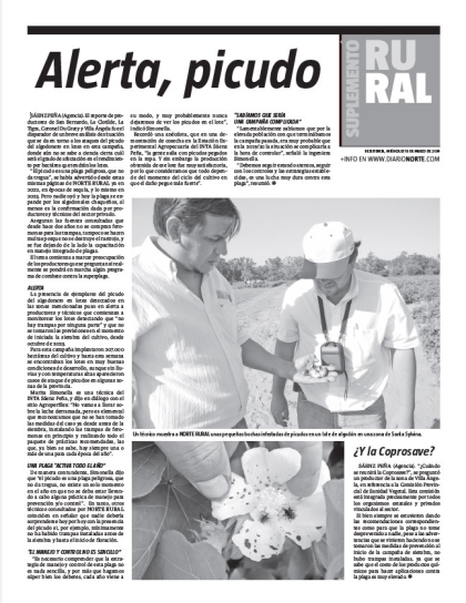 Alerta, picudo
