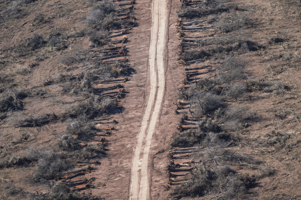 OrdenamientoChaco 3.jpg