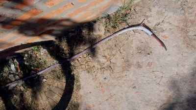 Pensó que estaba arreglando el tendido eléctrico, pero era roba cables: fue detenido