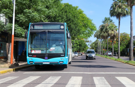 colectivos boletos.jpg