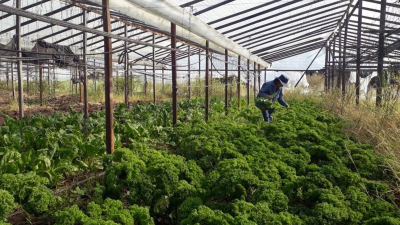 El Chaco se quedaría sin nueve mil nodos de agricultura familiar