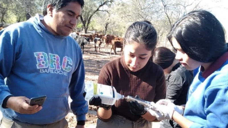 Despedidos de Agricultura Familiar muestran en qué consiste su trabajo