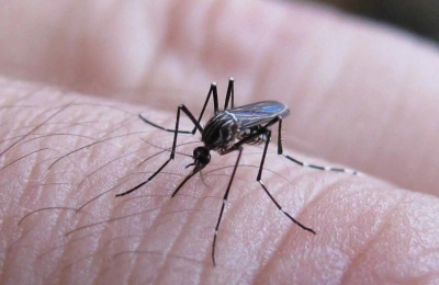 El Chaco, a tono con el país, retoma la curva ascendente de casos