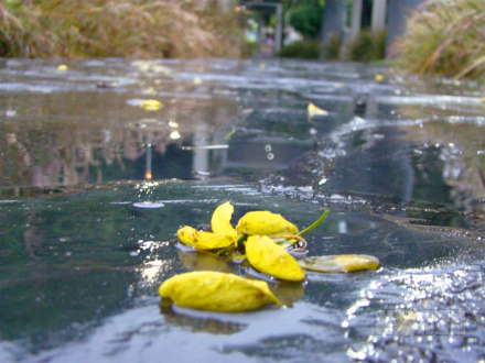 lluvia7.jpg