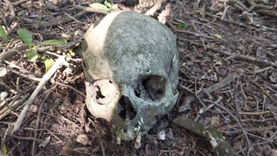 Hallaron un cráneo y otros restos humanos en un campo en Sáenz Peña