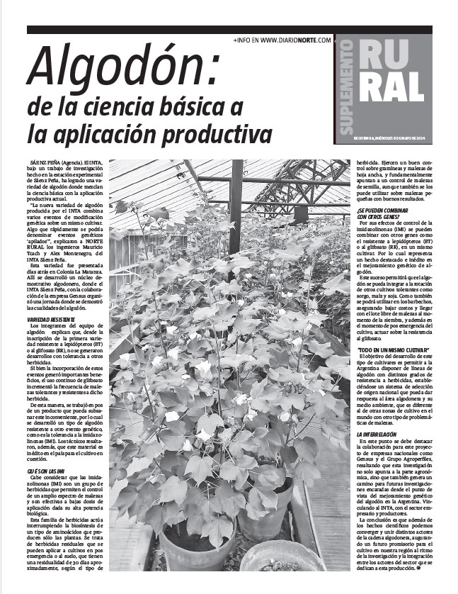 Algodón: de la ciencia básica a la aplicación productiva