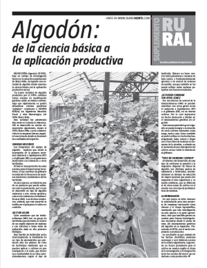 Algodón: de la ciencia básica a la aplicación productiva