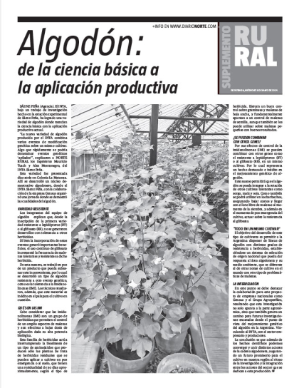 Algodón: de la ciencia básica a la aplicación productiva