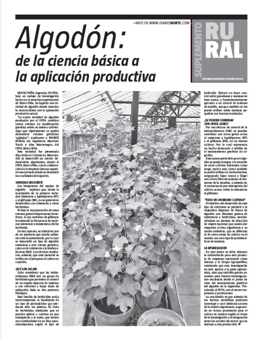 Algodón: de la ciencia básica a la aplicación productiva