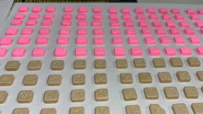 Un perro antidrogas detectó "cocaína rosa" en la casa de un narco estadounidense