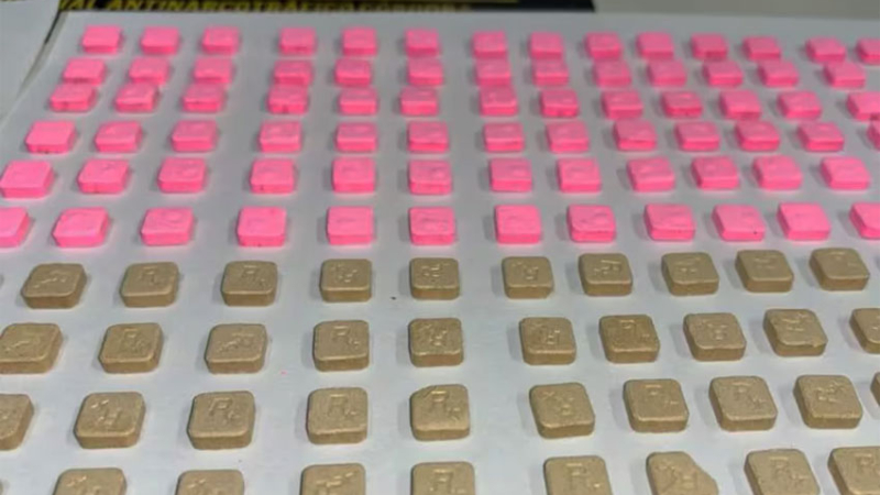 Un perro antidrogas detectó "cocaína rosa" en la casa de un narco estadounidense