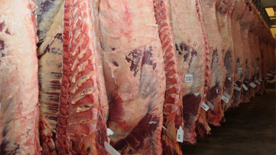Argentina exportará carne certificada libre de deforestación