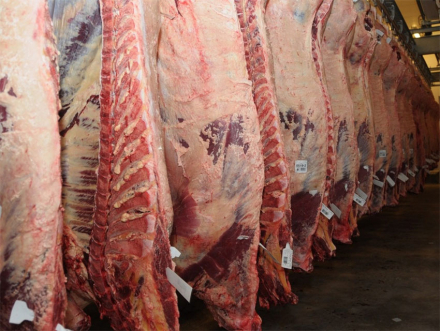 carne.jpg