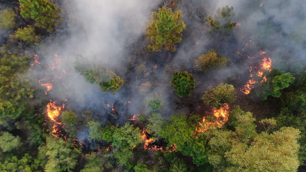 desastre ambiente incendio.jpg