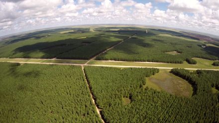 18-R-181-Corrientes bosques y gana2.jpg