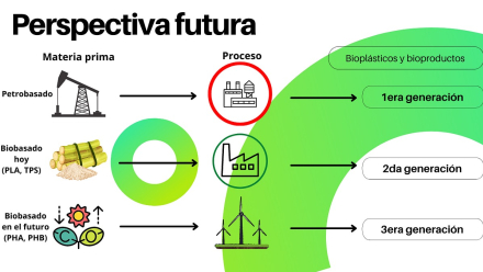 bioplasticos2.jpg