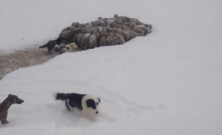 patagonia nevadas2.jpg