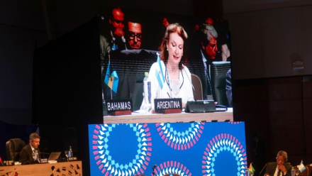 argentina oea.jpg