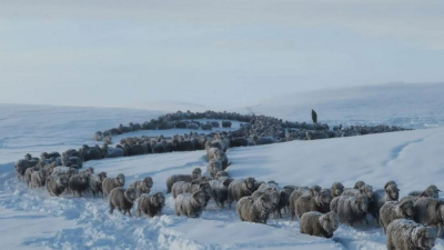 La hacienda en medio de las intensas nevadas
