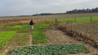 Expresan preocupación por el cierre de una institución de la agricultura familiar