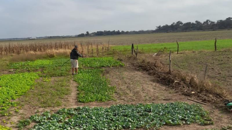 Expresan preocupación por el cierre de una institución de la agricultura familiar