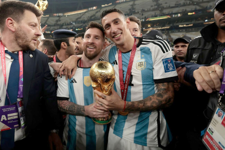 dimaria.jpg