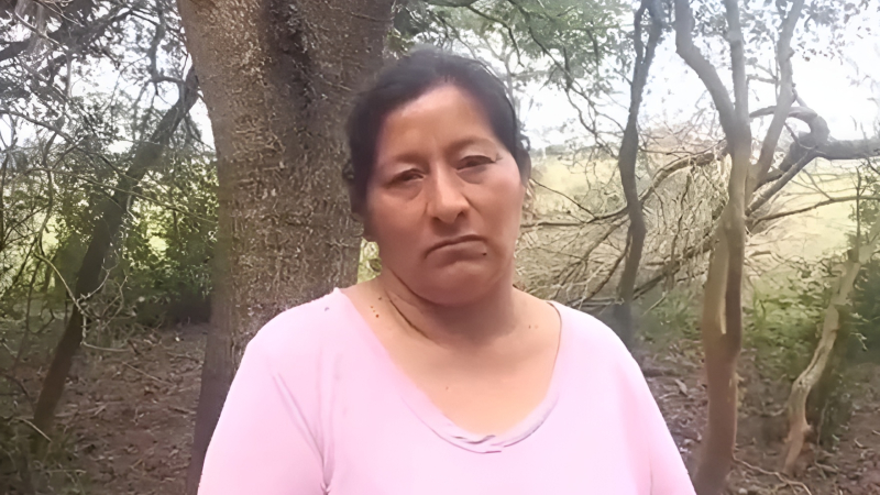 Acusaron a la tía de Loan por participar de la sustracción y ocultamiento